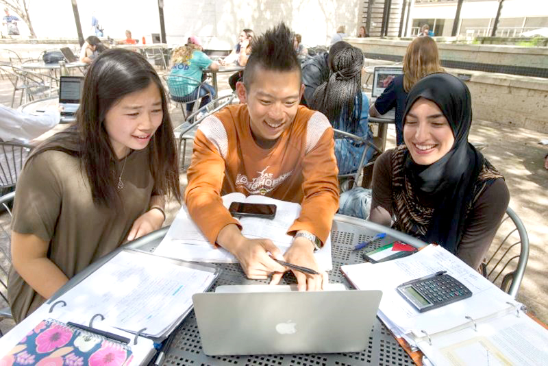 Students studying 